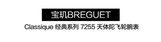 还得看陀飞轮！高级腕表的魅力(图17)