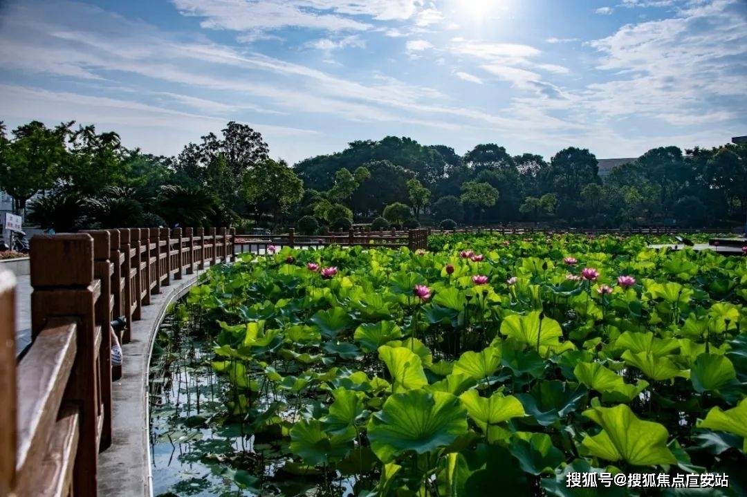 您-地址-价格-户型-小区环境-楼盘详情-交房时间-周边配套-电话森兰海天名筑售楼处电话-森兰海天名筑销售中心(售楼处)-楼盘欢迎(图8)